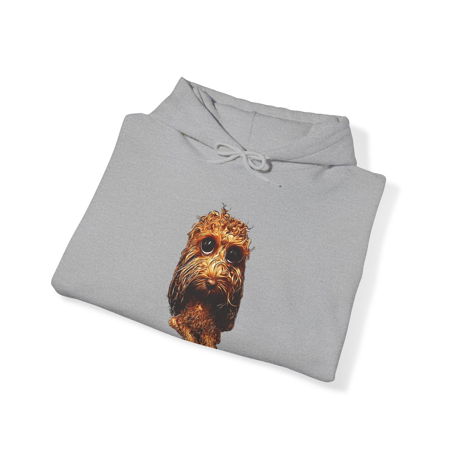 Caricadoodle Louis Drenched Front - Unisex Heavy Blend™ Hooded Sweatshirt